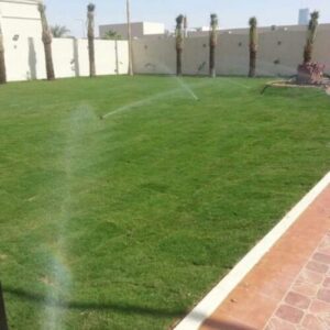 تنسيق مسطحات خضراء بالرياض