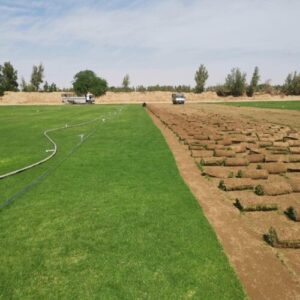 شبكات الري الأوتوماتيكية بالرياض 