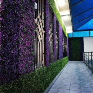 عشب جداري للأسطح بالرياض