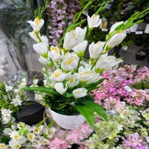 زراعة نباتات طبية بالرياض